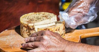 Lei do deputado Alceu Moreira regulamenta produção e venda de queijo artesanal em todo o país