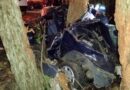 Homem morre após colidir automóvel em árvores na ERS-040