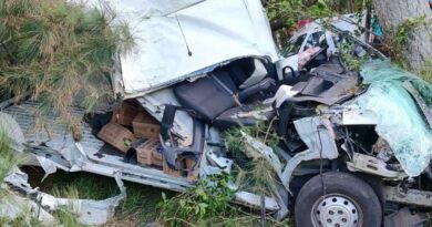 Veículo fica destruído após colidir em árvore na RST-101 em Osório