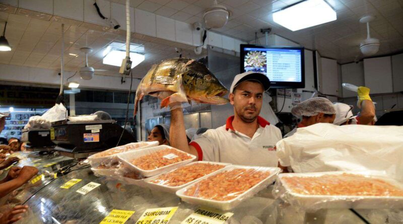 Peixes de seis estados têm contaminação por mercúrio, alerta Fiocruz