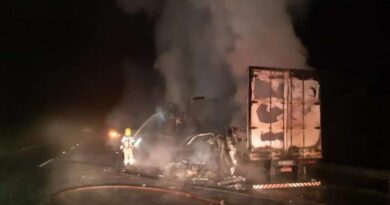 Incêndio destrói caminhão na freeway