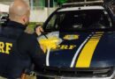 Osoriense é preso com R$ 350 mil em cocaína na BR-101