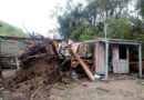 Identificado idoso morto após ter a casa atingida por árvore durante ciclone no Litoral Sul