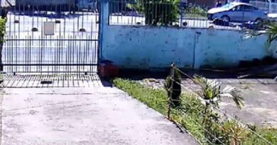 Câmera flagra acidente envolvendo cão, carro e moto em Osório (vídeo)