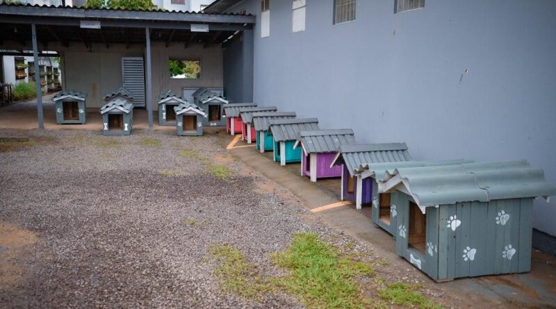 Presos produzem casinhas para cães de famílias atingidas pelas enchentes