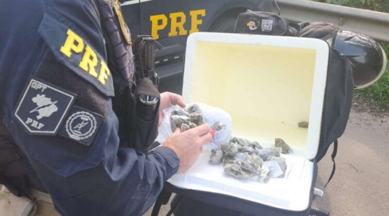 RS: traficante que fazia delivery de maconha é preso na BR-158