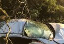 Acidente com carro da secretaria de saúde mata 1 e deixa feridos graves na BR-290