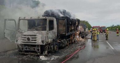 Caminhão pega fogo na freeway em Osório