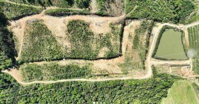 Batalhão Ambiental flagra desmatamento em área equivalente a 10 campos de futebol no RS