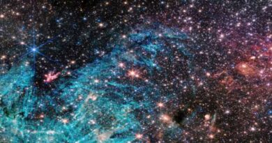 Webb da NASA revela novos recursos no coração da Via Láctea: detalhes sem precedentes