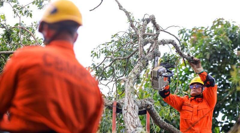 Temporais no RS: Estado mobiliza recursos para atender 56 municípios afetados