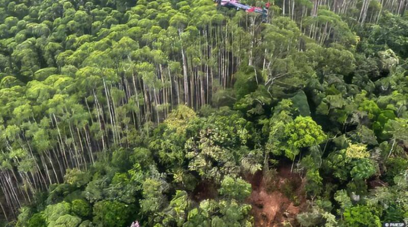 Encontrados corpos dos ocupantes de helicóptero desaparecidos após 12 dias