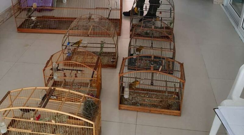 Suspeito de crime contra fauna é preso em Capão da Canoa
