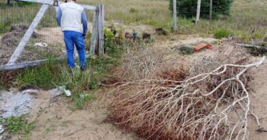 Fepam identifica Infrações ambientais durante operação no Litoral Norte
