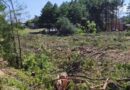 Flagrante de crime ambiental: supressão de vegetação em área de preservação em Arroio do Sal