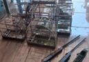 Patrulha Ambiental resgata pássaros silvestres e prende homem em Caraá