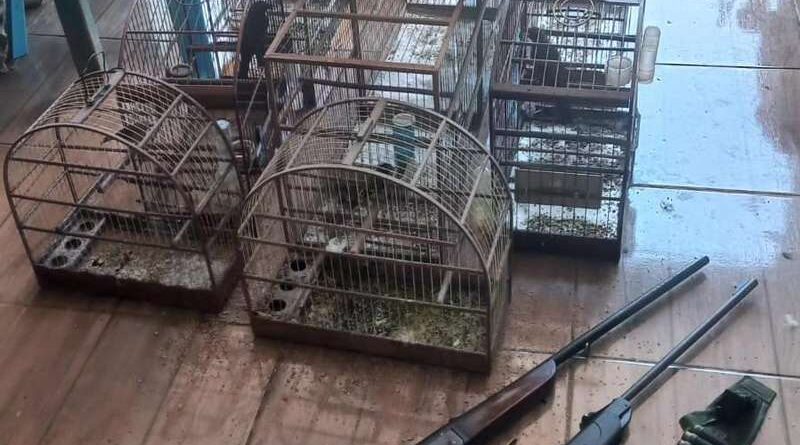 Patrulha Ambiental resgata pássaros silvestres e prende homem em Caraá