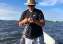 Safra 2024 de camarão em risco: estudo no estuário do Rio Tramandaí acende alerta