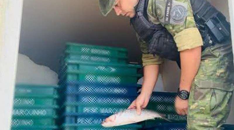 Mais de 500 quilos de pescado ilegal são apreendidos em Capivari do Sul