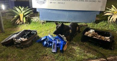10kg de maconha apreendidas em ônibus em Osório com auxílio de cães farejadores
