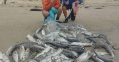 Jovem pescador de 16 anos captura 121 tainhas de uma única vez em Tramandaí