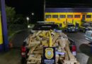 Mais de meia tonelada de maconha é apreendida em Osório: três são presos