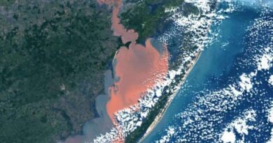 Proveniente do Guaíba: mancha avermelhada na Lagoa dos Patos pode afetar pesca e turismo no Litoral