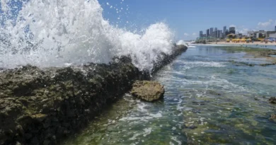 Como o aumento do nível do mar ameaça litorais ao redor do mundo