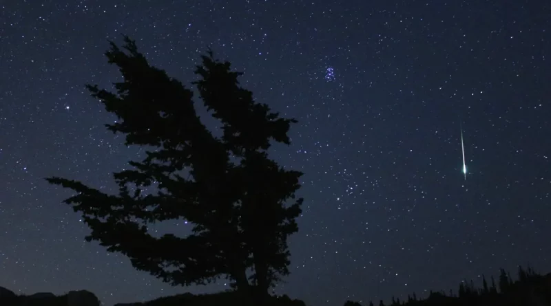 Chuva de meteoros Delta Aquáridas atingirá seu pico: veja como observar