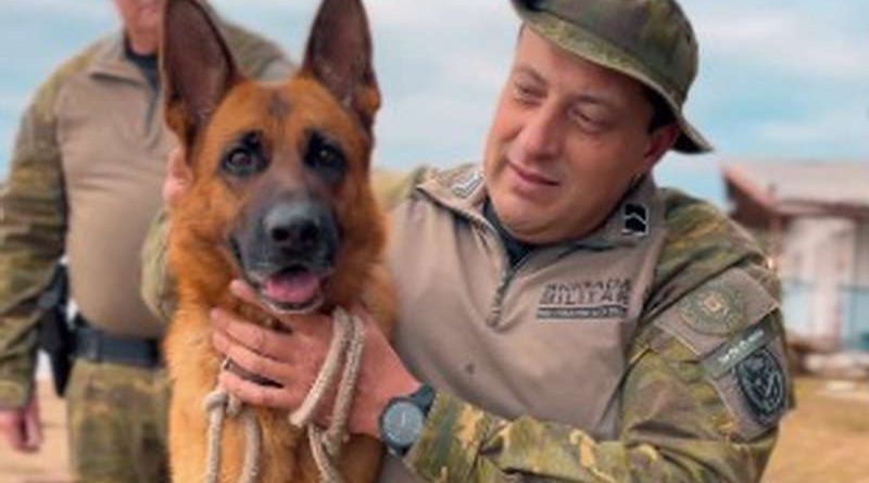 Reencontro emocionante: cão resgatado em enchente é devolvido à família pela Patram de Osório