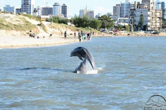 Ambientalistas do Litoral Norte Pedem Suspensão de Projeto de Esgoto no Rio Tramandaí e Defendem Alternativa Sustentável