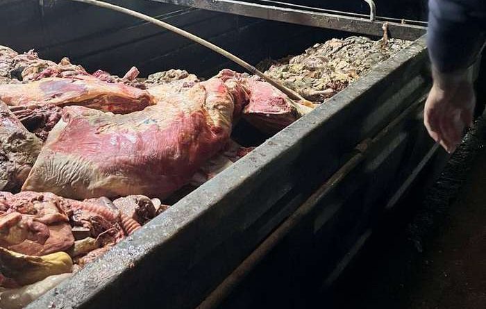 Apreendidos 700 kg de carne imprópria para consumo em local clandestino no RS