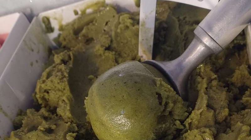 Sorbet de erva-mate e iogurte orgânico em copinho são destaques na Expointer