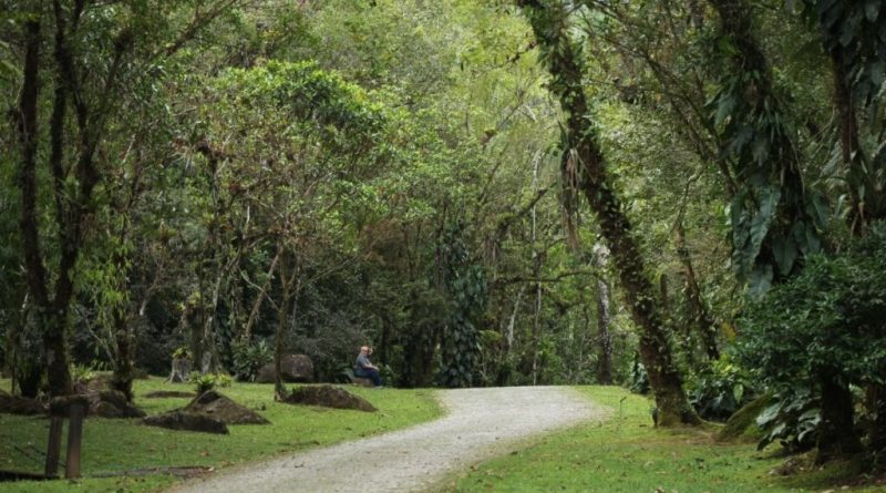 Veja como cuidar do planeta para ter um futuro sustentável