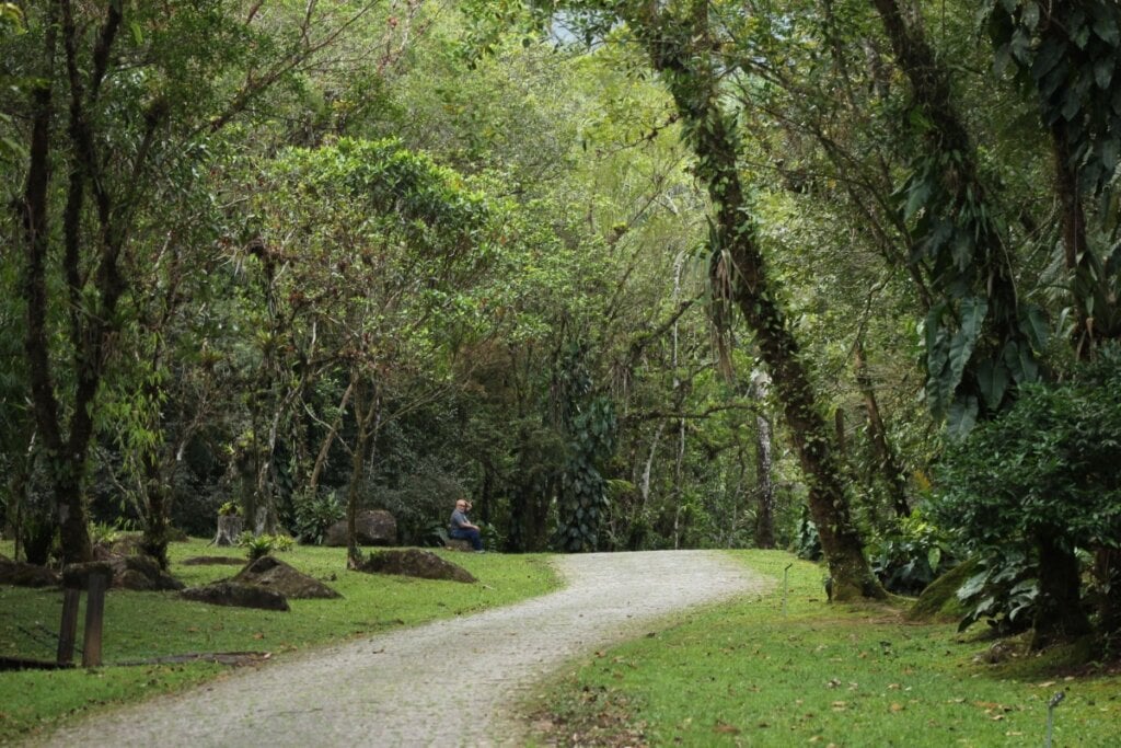 foto do Ekoa Park em Morretes, Paraná