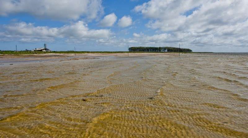 Refúgio de água doce: o paraíso escondido no Rio Grande do Sul