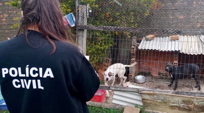 Polícia e veterinário municipal verificam denúncias de maus-tratos a animais em Osório