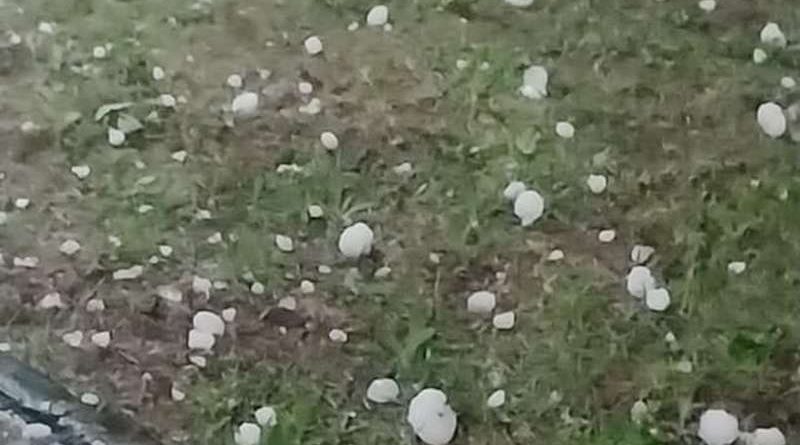 a group of white rocks on grass