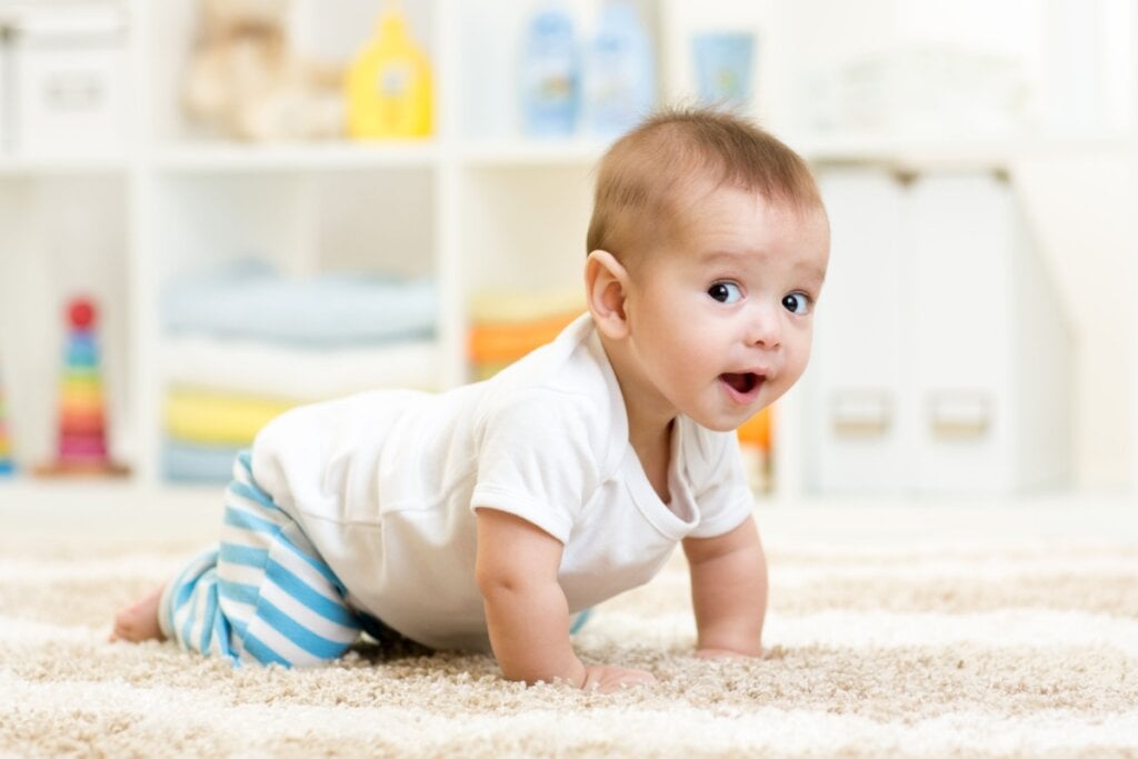 bebê rastejando em tapete olhando para a câmera