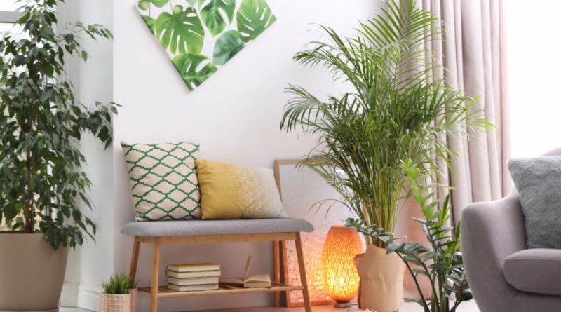 Veja como adotar o estilo tropical na decoração