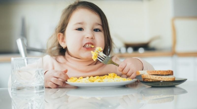 Entenda a importância do consumo de ovo na infância