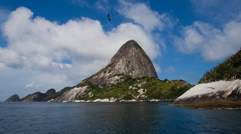 Conheça Alcatrazes: O santuário de tubarões no Litoral