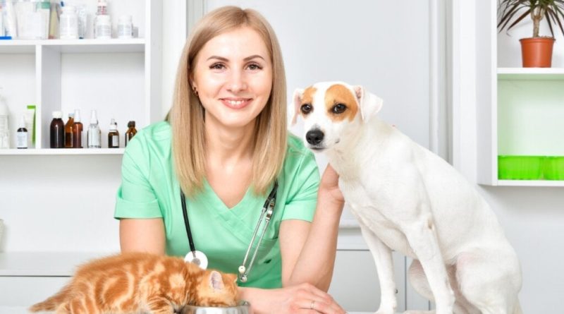 8 especialidades veterinárias e quando procurar cada uma delas