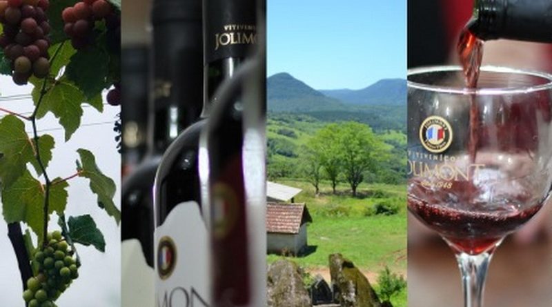 Conheça o vinho do RS que conquistou destaque internacional