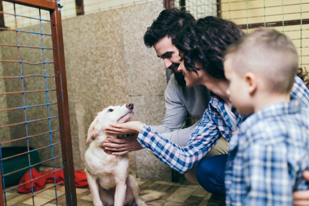 Casal e filho em abrigo adotando cachorro