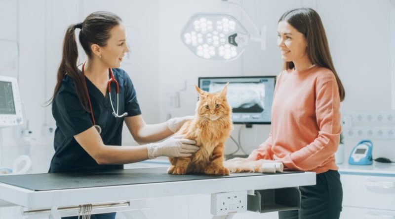 Veja como proteger seu animal dos riscos de envenenamento