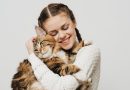 8 dicas para fortalecer o vínculo com o gato