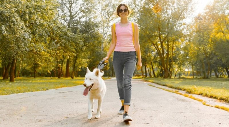 10 cuidados no primeiro passeio com o cachorro na rua