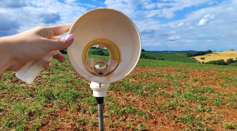 Ferrugem da soja: monitoramento no RS indica menor risco em ano de La Niña