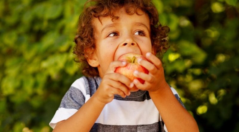 5 dicas para manter a boa alimentação das crianças nas férias